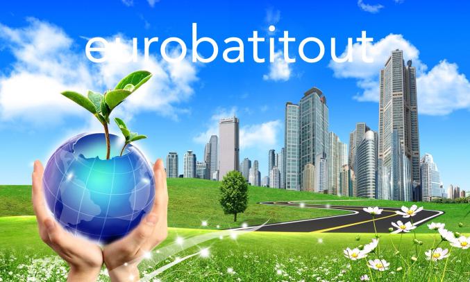 Rénovation Peinture plomberie Eléctricité 