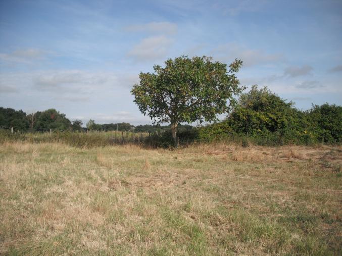 Terrain constructible VEZIERES