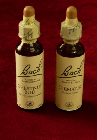 Fleur de bach 20ml