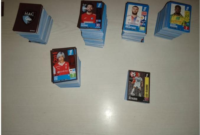 Foot PANINI 2024-2025