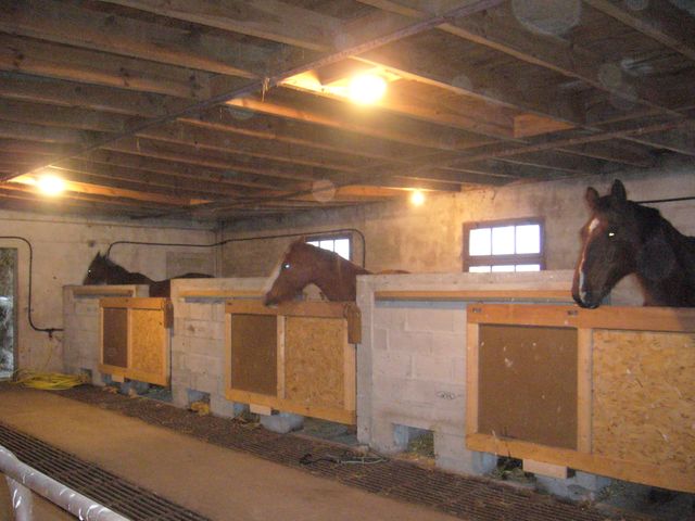 La Retraite de vontre Cheval en Lozère