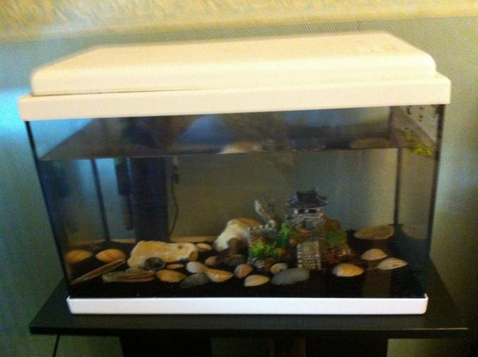 Aqauriume tout equipè