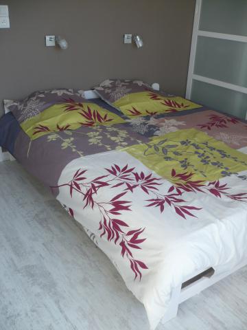 Loue tres beau T2 classé 3* dans le centre  de cambo