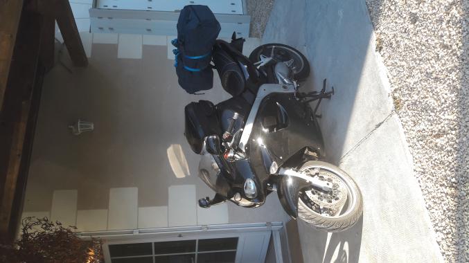 Triumph sprint St 955i