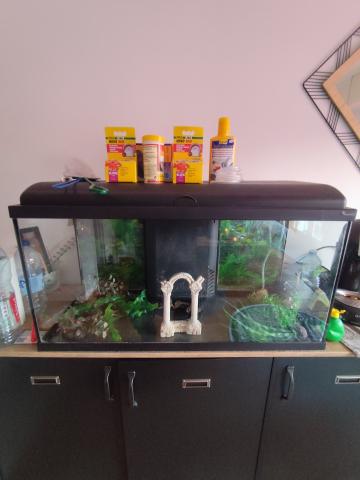 Aquarium 90 L