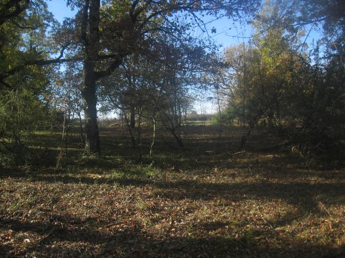 SPLENDIDE TERRAIN CONSTRUCTIBLE de 4750 m2