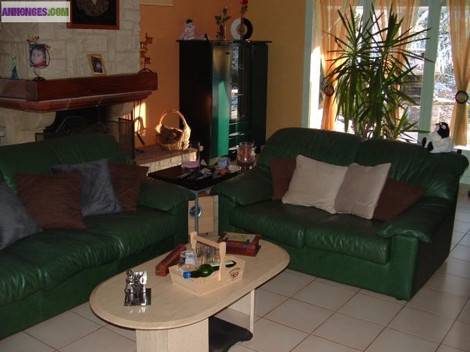 2 canapés tout cuir