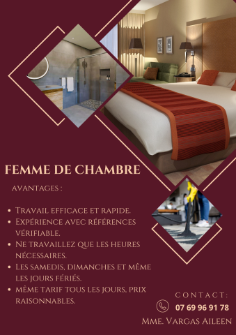 Femme de Mènage Pro