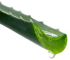 DISTRIBUTION PRODUITS ALOE VERA