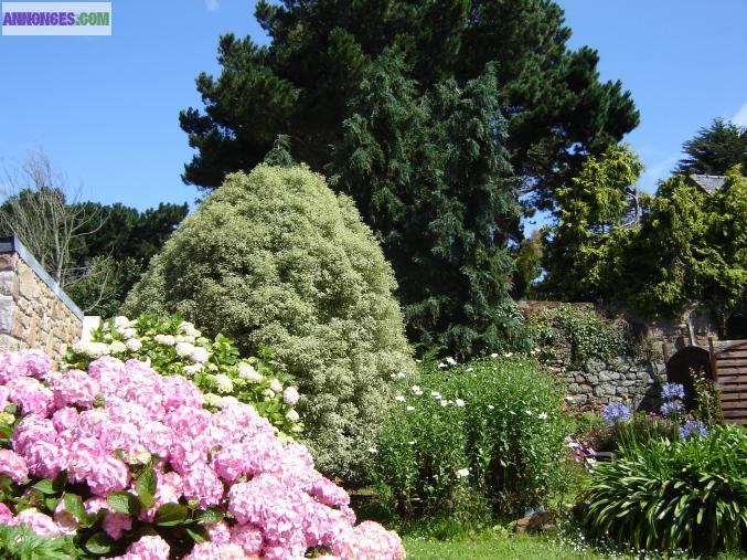 Petite maison granit sous ardoises ile sud Bréhat