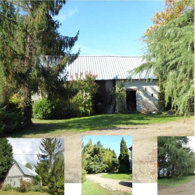 PAVILLON + HANGAR + TERRAIN