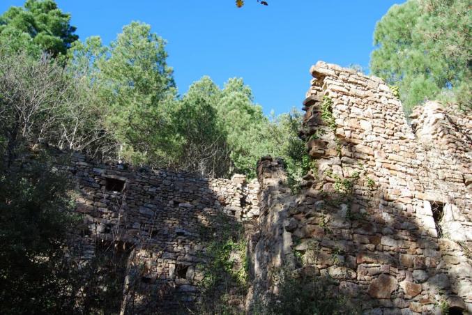 Magnifique bergerie Cévenole et son bois de 3Ha
