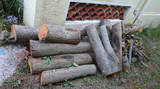 Bois de chauffage