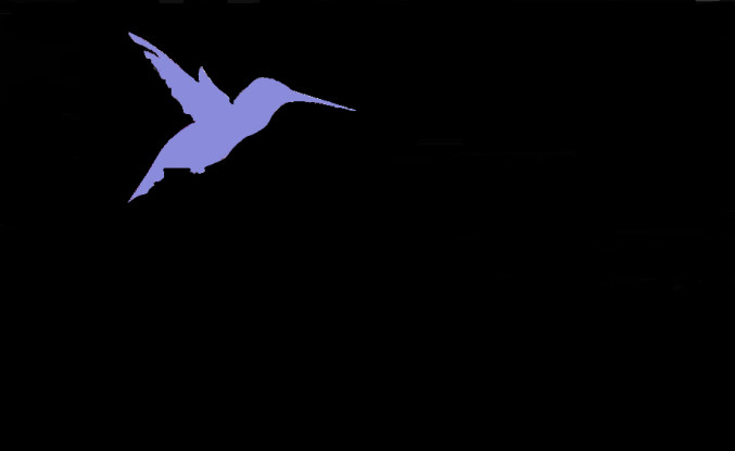 Atelier PNL et outils énergétiques