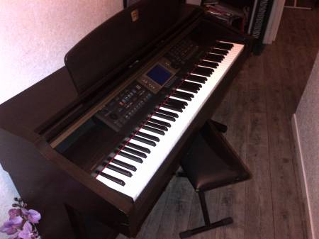 Donne Piano numérique YAMAHA/Accordéon diatonique Hohner