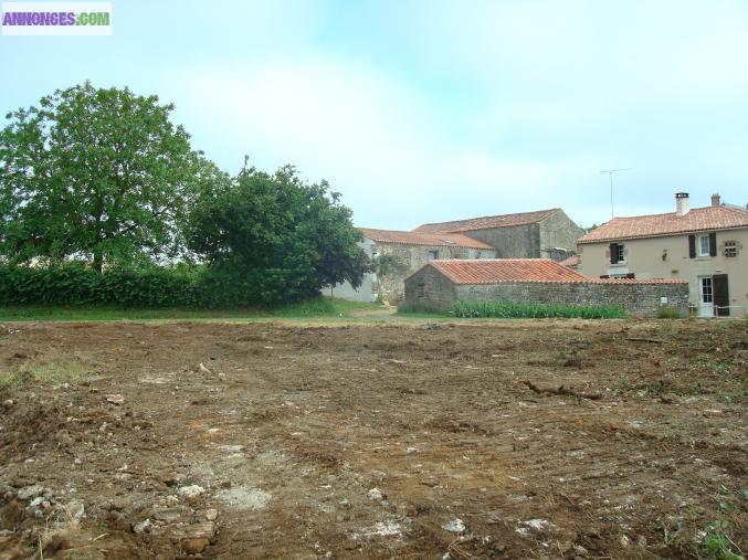 Terrain constructible