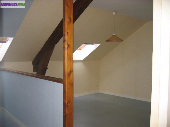 Proche centre ville ancenis loue studio vide