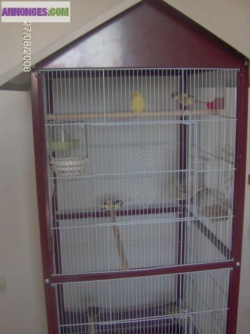 Cage à oiseau