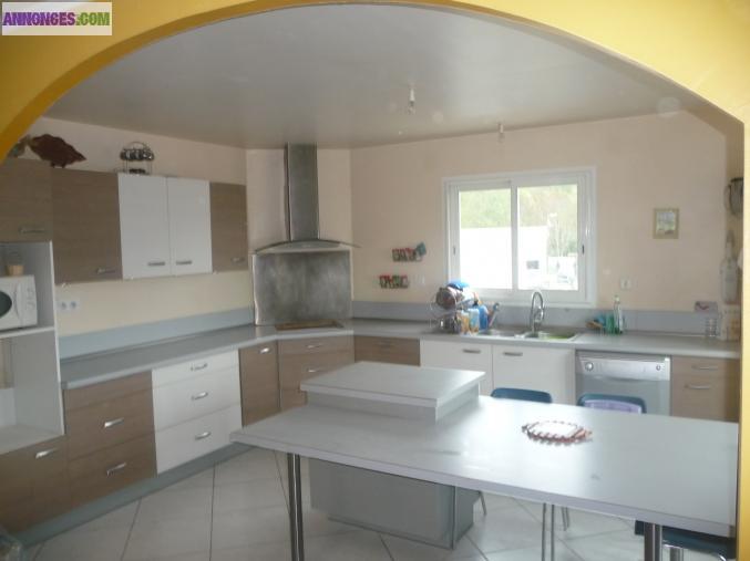 Vends meubles de cuisine + table