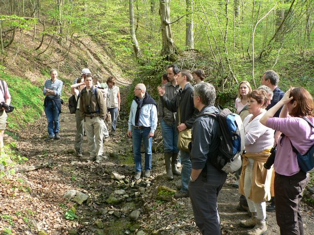 Visites guidées commentées entre célibataires