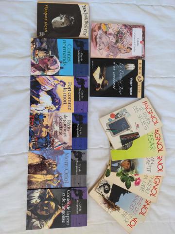 Vente par lot de livres