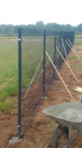 Service à la Personne - Jardinage -Bricolage