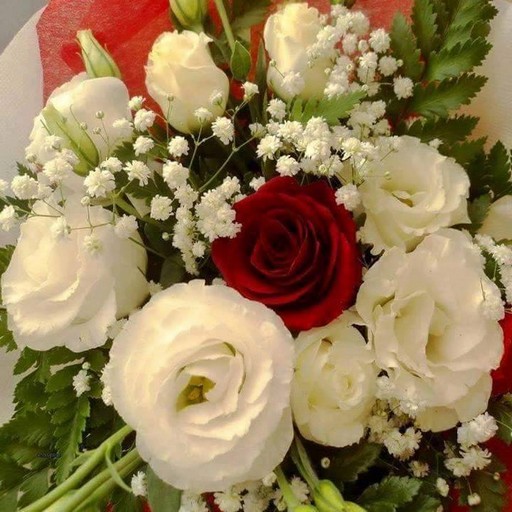 Coiffeuse hommeà domicile