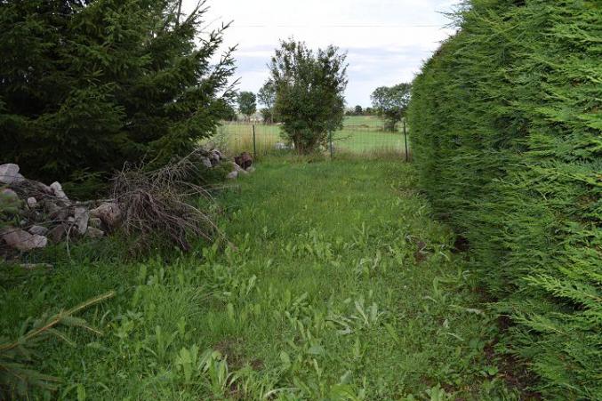 Pension confort pour chats et petits chiens