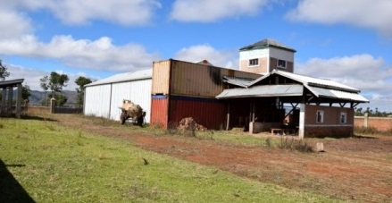 A VENDRE TRÈS BEAU TERRAIN AGRICOLE  AVEC DES PLANTS DE RAVINTSARA, MATÉRIELS DE DISTILLERIE ET FERME