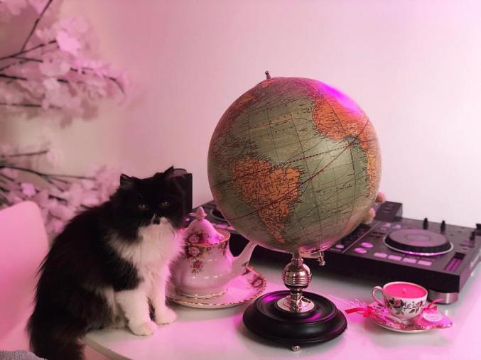 Emploi: Recherche chauffeur dynamique