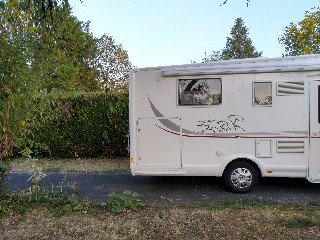 Mc Louis YEARLING 74G