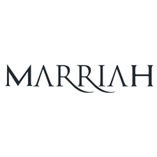 Créer un logo professionnel