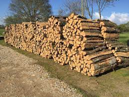 Vente du bois de chauffage