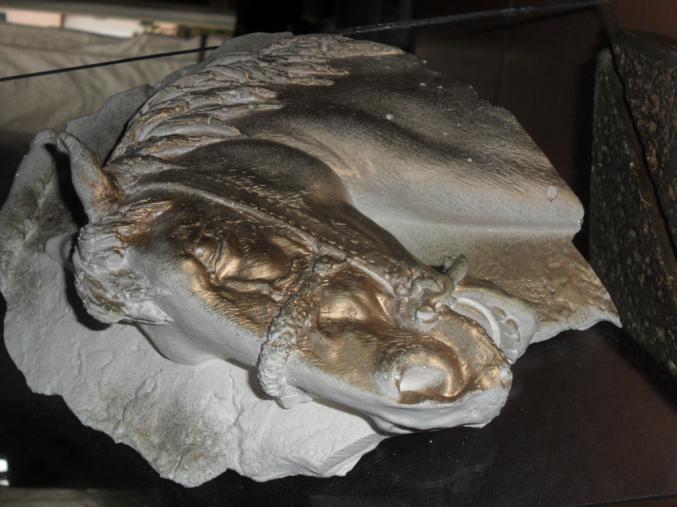 Recherche vendeurs colporteurs