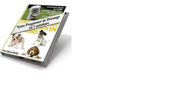Comment Dresser Son Chien soi-même