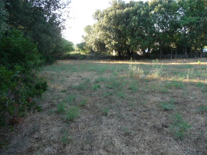 Beau Terrain constructible 