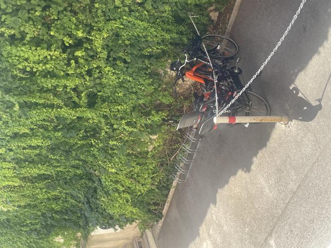 Saisonnière juillet à octobre 