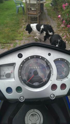 Scooter peugeot jet force