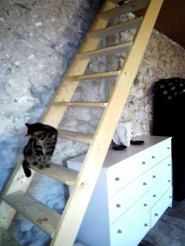 Maison avec terrain proche Chartres