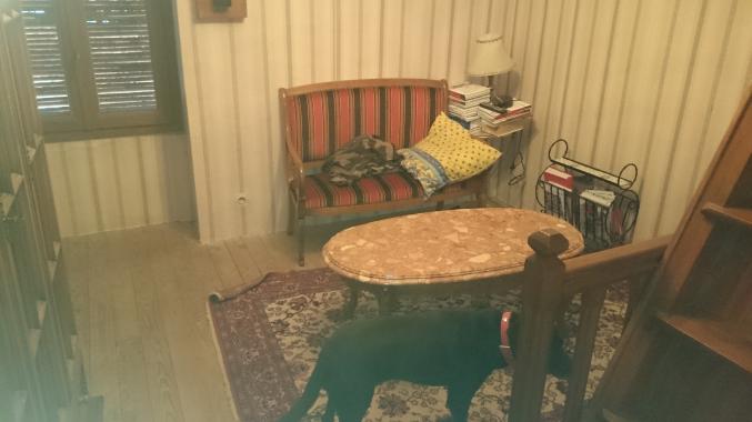 Location villa centre corse