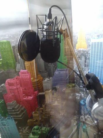 Recherche chanteurs (ses)