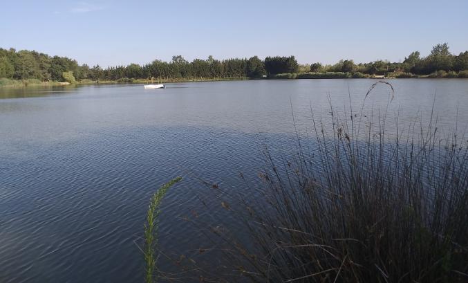 L'étang au Rêve de Michel