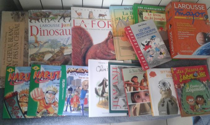 15 LIVRES DIVERS ENFANTS (7/10 ANS) – 10 EUROS