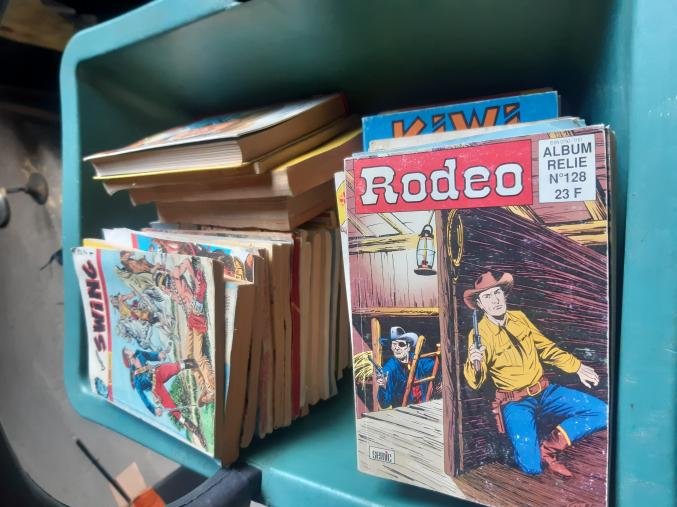 Livres de poche et BD