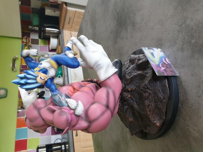 Figurine résine Vegeta vs Toppo