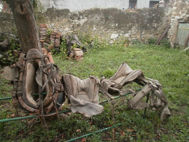 Collier +selle de chevaux