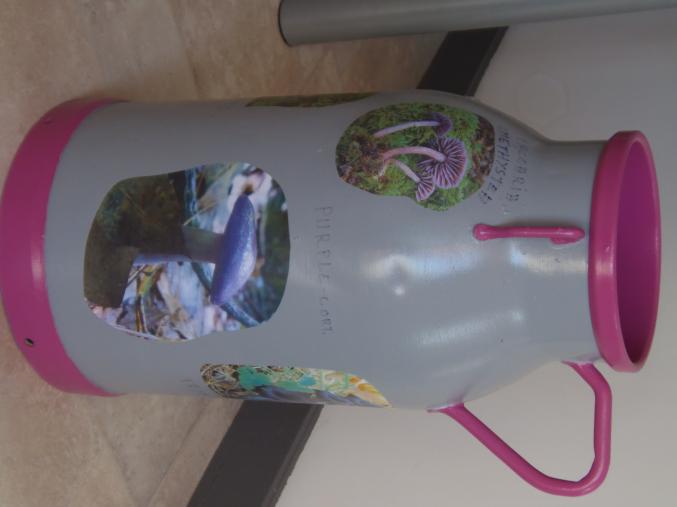 Décoration insolite