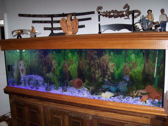 Aquarium 600l