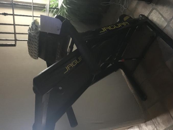 Tapis de course Jaguar MOOVYOO