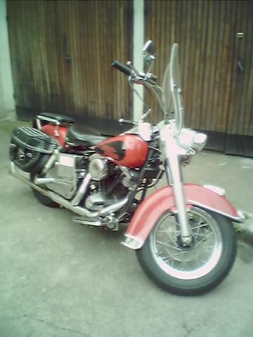 HARLEY DAVIDSON
